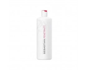 Sebastian Penetraitt Sa&ccedil; Kremi 1000 ml