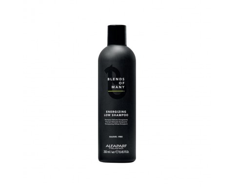 Alfaparf Blends Of Many Enerji Veren Şampuan 250 ml
