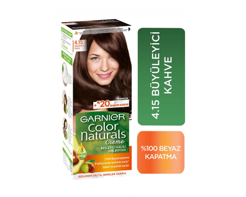 Garnıer Color Naturel 4 15 Frosty Dark Mah Saç Boyası Garnıer Color Naturel 4 15 Frosty Dark Mah Saç Boyası