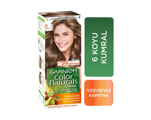 Garnıer Color Naturel BL Fon Saç Boyası